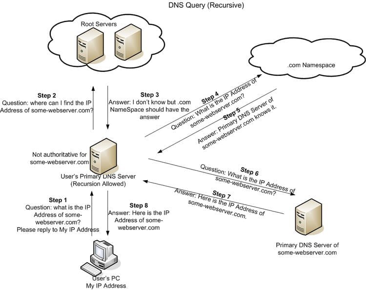 DNS Query